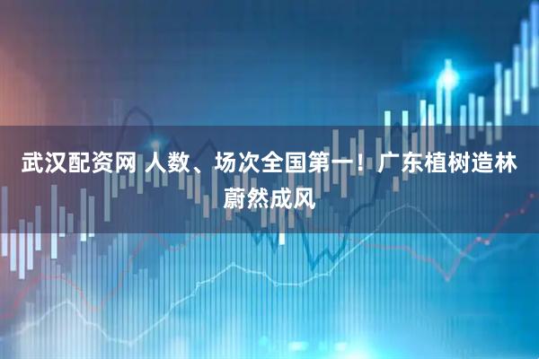 武汉配资网 人数、场次全国第一！广东植树造林蔚然成风