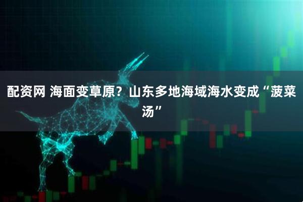配资网 海面变草原？山东多地海域海水变成“菠菜汤”