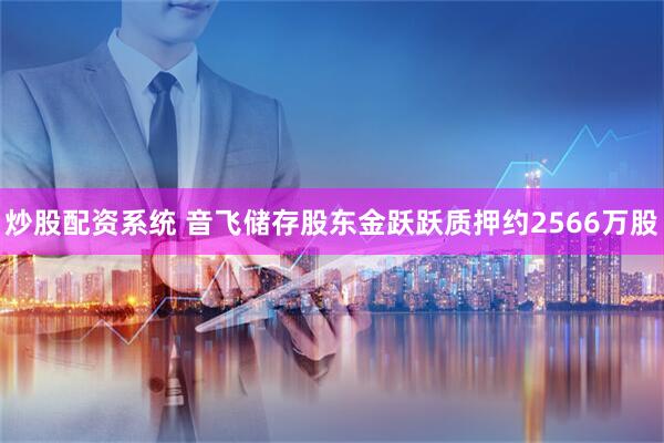 炒股配资系统 音飞储存股东金跃跃质押约2566万股
